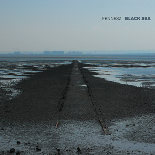 http://www.residentadvisor.net/images/reviews/2008/fennesz-black-sea.jpg